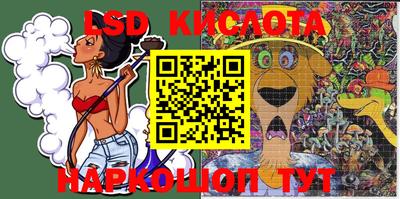 шишки Бийск