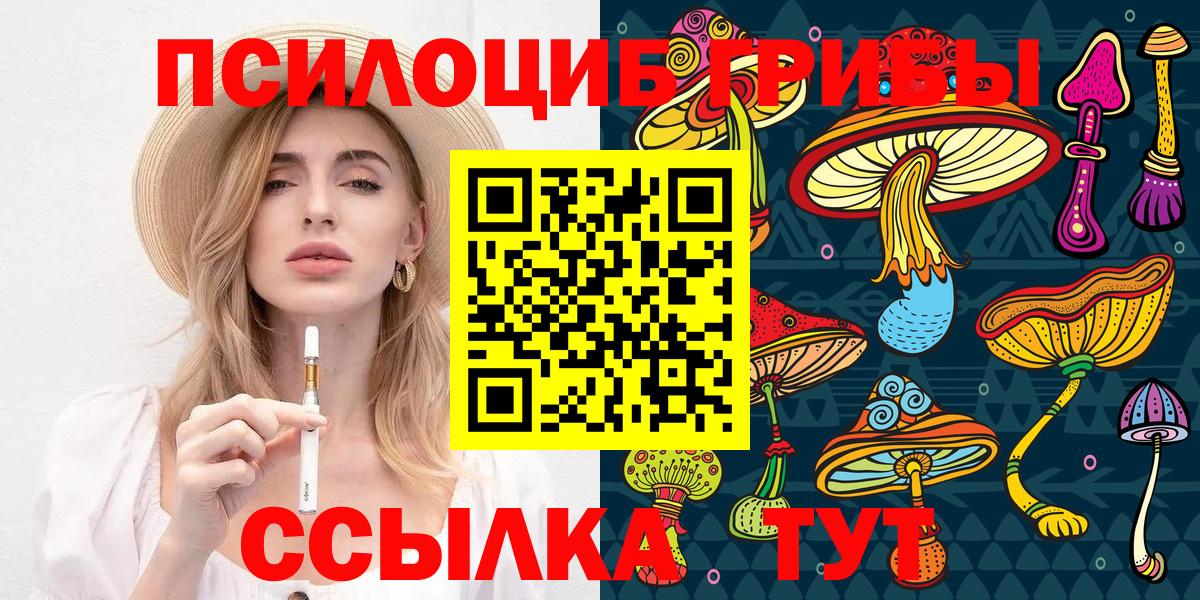 Псилоцибиновые грибы Psilocybe Бийск