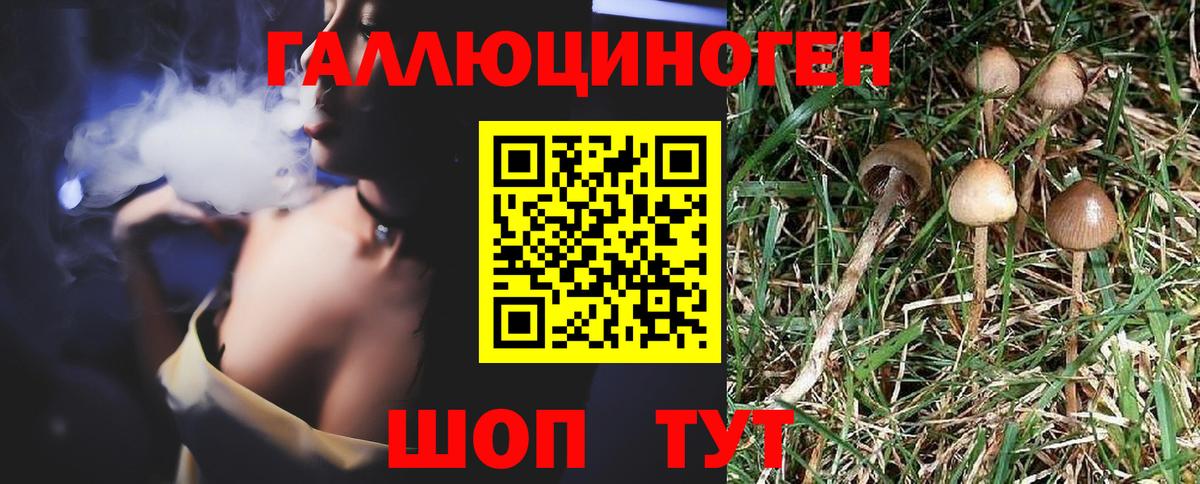 Галлюциногенные грибы прущие грибы Бийск