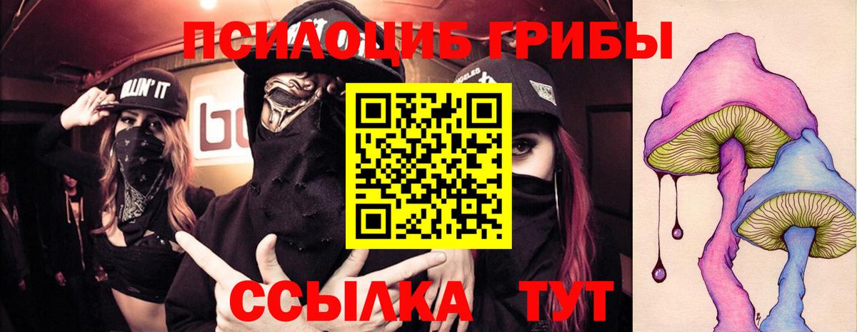Галлюциногенные грибы мухоморы  где найти наркотики  Бийск  Вход с VPN 